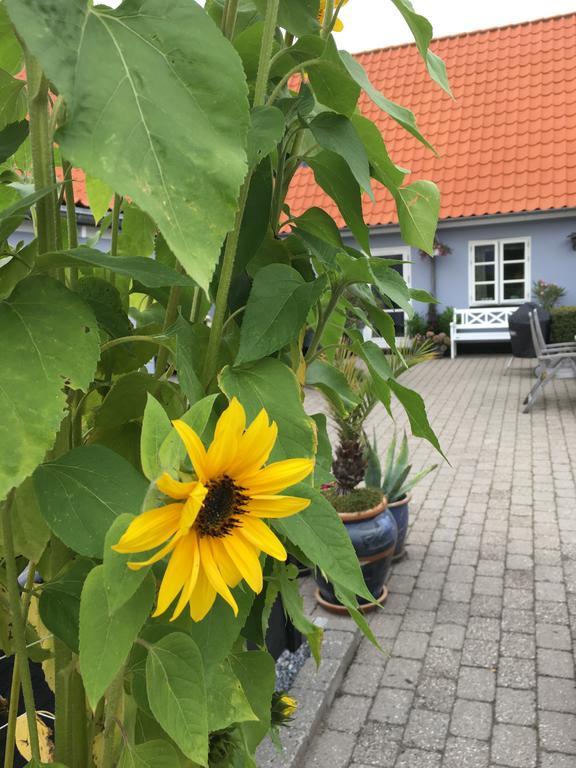 Ebeltoft Centrum Apartment Exterior photo